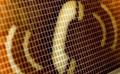 Click to Call – Weten wanneer er wel of niet wordt gebeld! (opvolging)